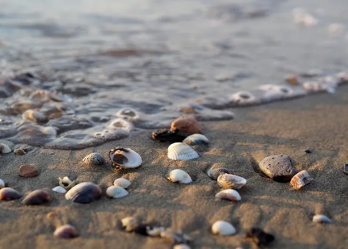 Daire Dream Holidays In Our Flat - Beahost *