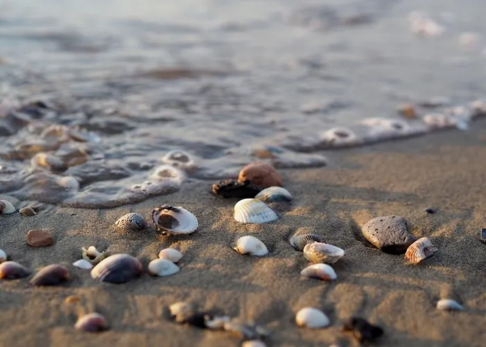 Dream Holidays In Our Flat - Beahost